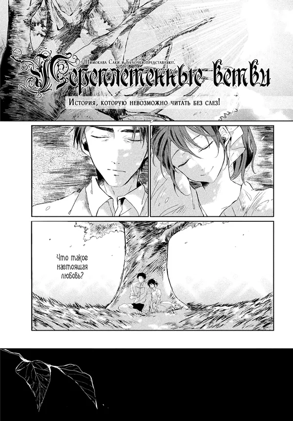 Переплетенные ветви (Renri no Eda (SHIMOKAWA Saki))
